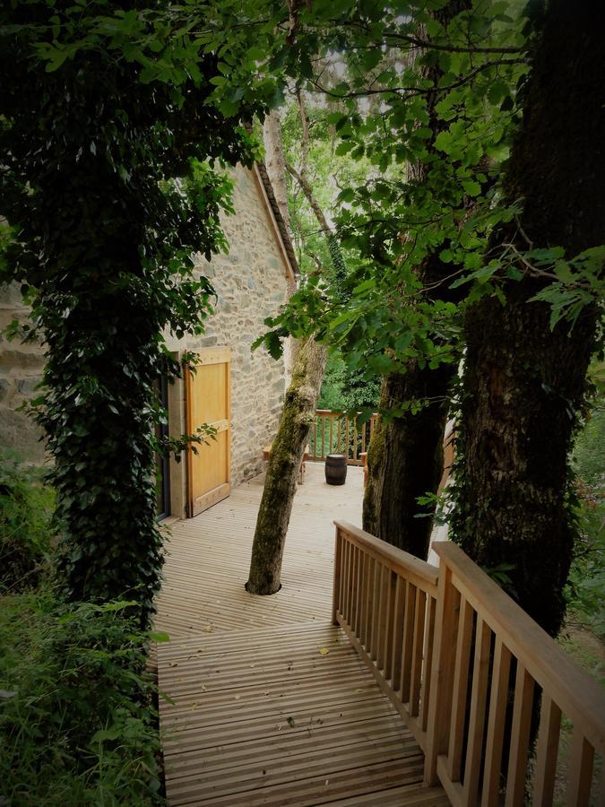 Domaine Des Marequiers Chambre Pimprenelle Saint-Germain-du-Teil エクステリア 写真