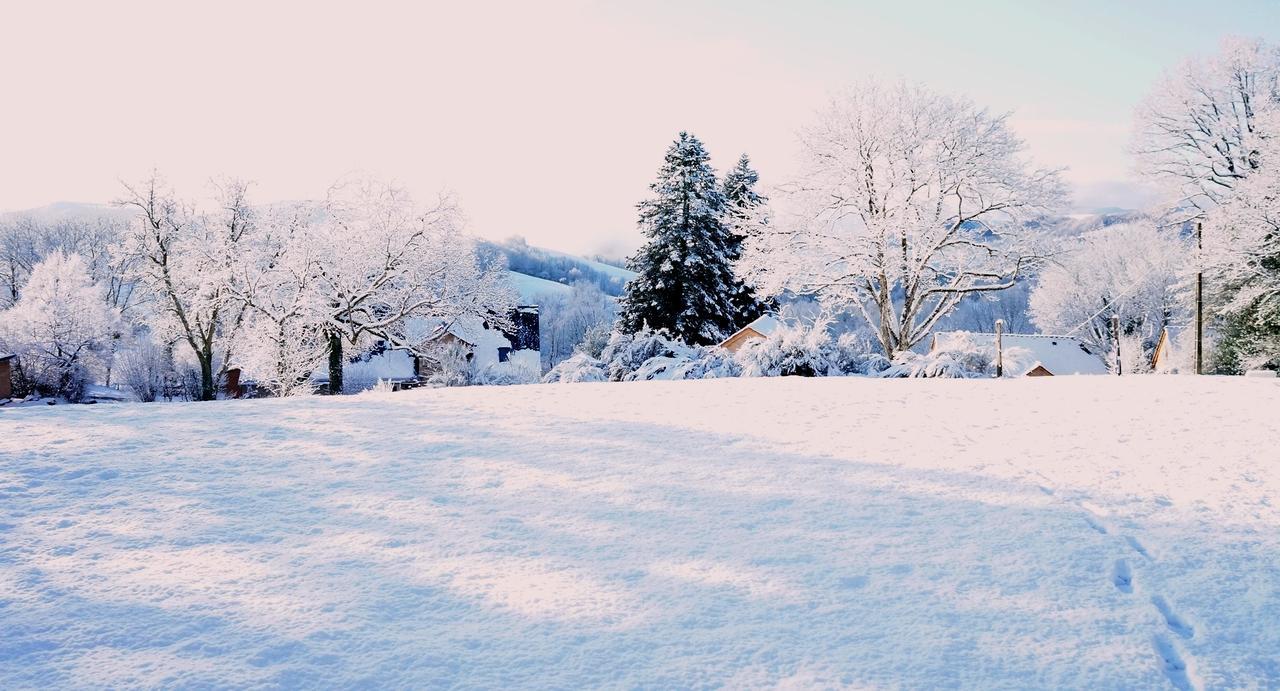 Domaine Des Marequiers Chambre Pimprenelle Saint-Germain-du-Teil エクステリア 写真