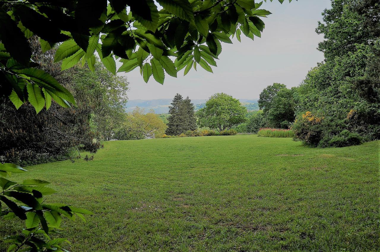 Domaine Des Marequiers Chambre Pimprenelle Saint-Germain-du-Teil エクステリア 写真